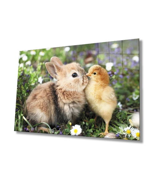 Tavşan ve Civciv Dekoratif ve Modern Cam Tablo ürün görseli