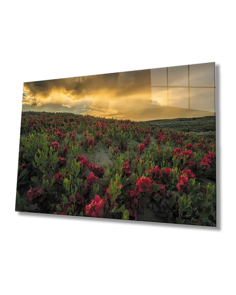 Gün Batımında Dağ Kırmızı Çiçekler ürün görseli