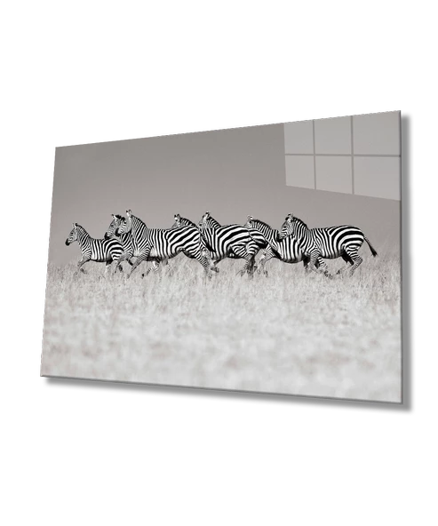 Zebra Dekoratif ve Modern Cam Tablo