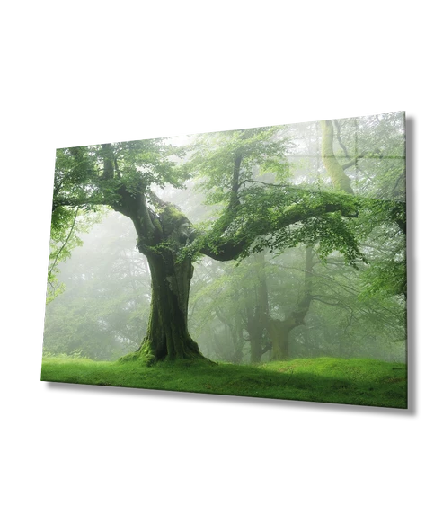 Yeşil Ağaç Dekoratif ve Modern Cam Tablo   Green Tree