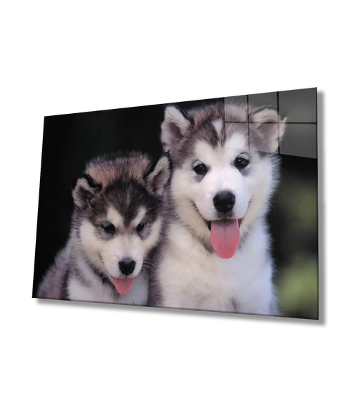 Köpekler Dekoratif ve Modern Cam Tablo ürün görseli