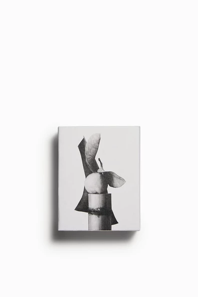 ZARA VIBRANT LEATHER EDP 60 ML İNDİRİMSEHRİ - 4