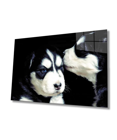 Kedi ve Köpek Dekoratif ve Modern Cam Tablo