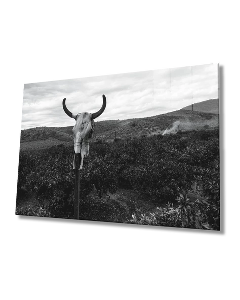 Boynuz Dekoratif ve Modern Cam Tablo ürün görseli