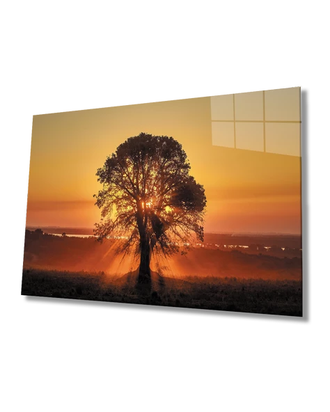 Gün Batımı Manzarasında Ağaç Dekoratif ve Modern Cam Tablo ürün görseli 1