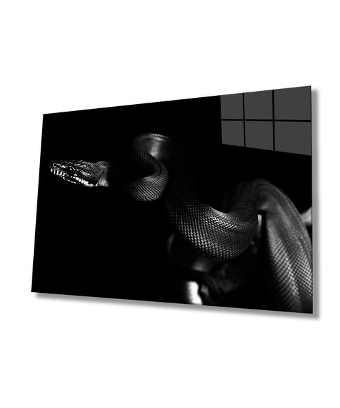 Yılan Hayvan  Dekoratif ve Modern Cam Tablo ürün görseli