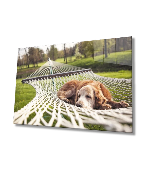 Köpek Dekoratif ve Modern Cam Tablo ürün görseli