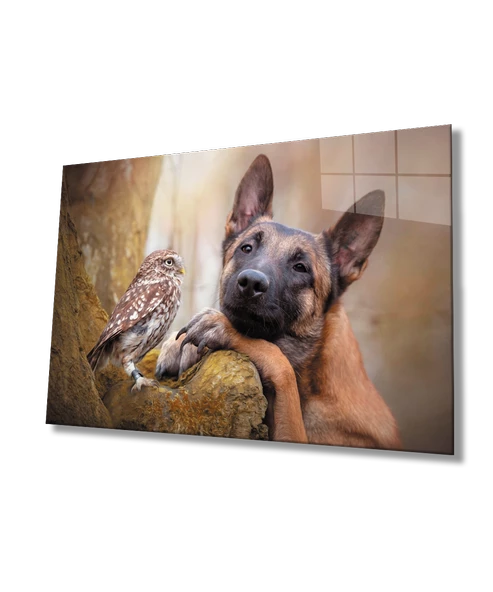 Kuş ve Köpek Dekoratif ve Modern Cam Tablo ürün görseli