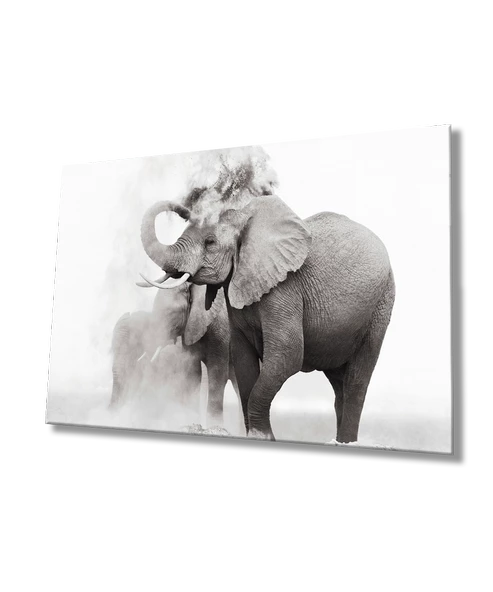 Fil Dekoratif ve Modern Cam Tablo ürün görseli