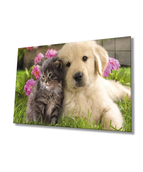 Kedi ve Köpek Dekoratif ve Modern Cam Tablo