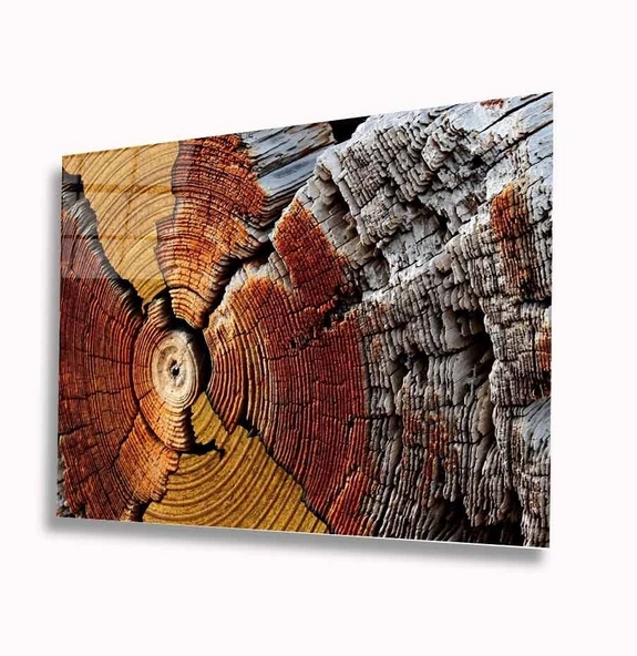 Soyut Dekoratif ve Modern Cam Tablo ürün görseli