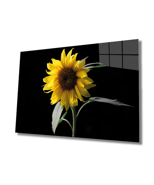 Ayçiçeği Dekoratif ve Modern Cam Tablo  ,