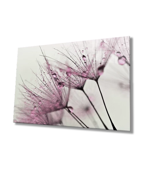 Kırmızı Karahindiba  Dekoratif ve Modern Cam Tablo ürün görseli