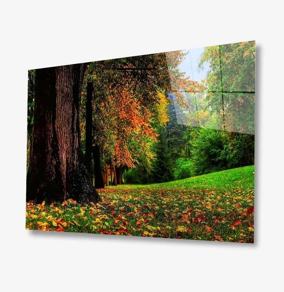 Doğa Dekoratif ve Modern Cam Tablo ürün görseli