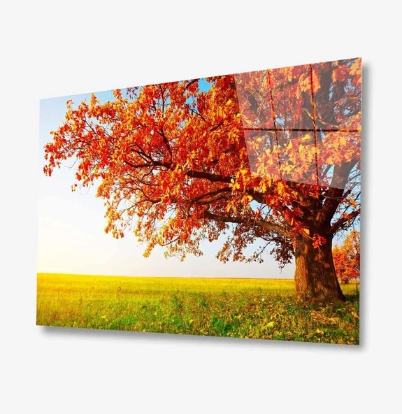 Doğa Dekoratif ve Modern Cam Tablo