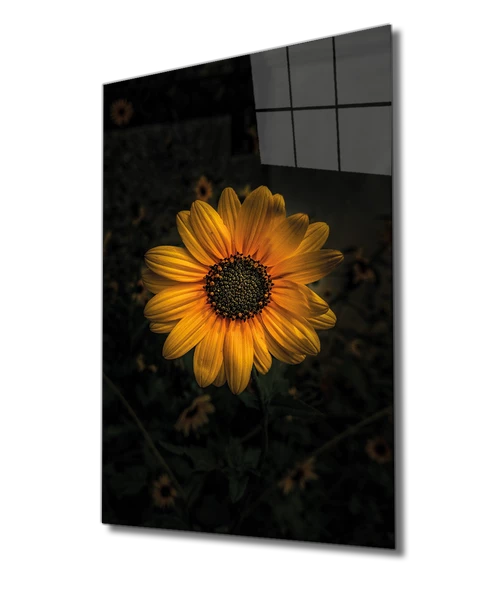 Sarı Ayçiçek Dekoratif ve Modern Cam Tablo Yellow ürün görseli