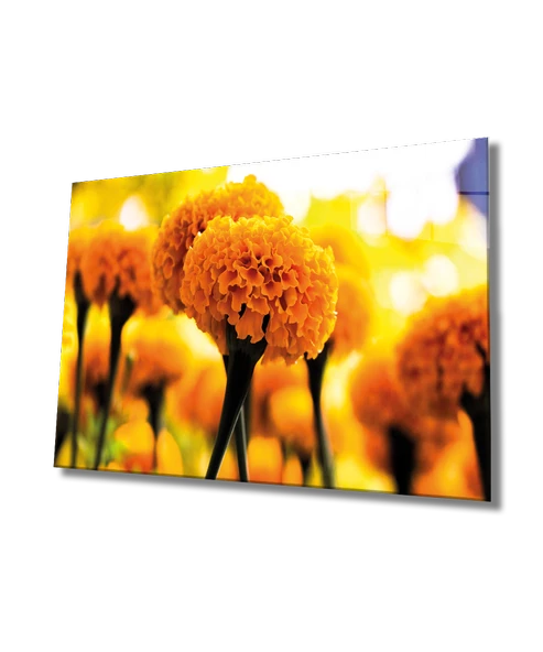 Sarı Çiçek Dekoratif ve Modern Cam Tablo Yellow