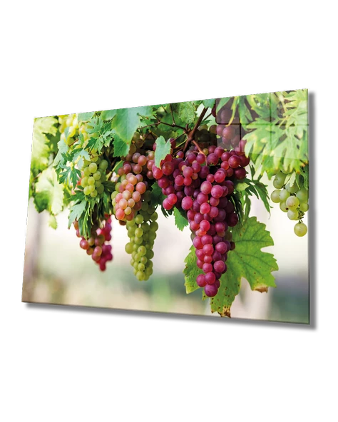 Üzüm Dekoratif ve Modern Cam Tablo Grape ürün görseli