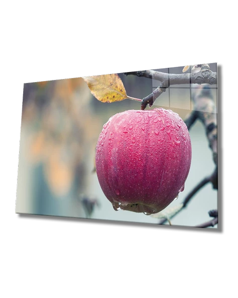 Dalda Elma Dekoratif ve Modern Cam Tablo Apple