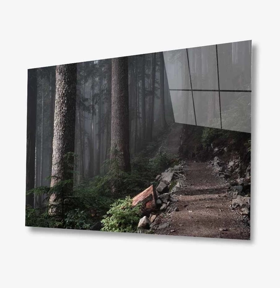 Doğa Dekoratif ve Modern Cam Tablo ürün görseli