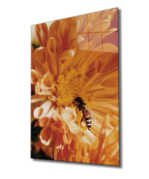 Sarı Çiçek Arı Dekoratif ve Modern Cam Tablo Yellow Flower Bee