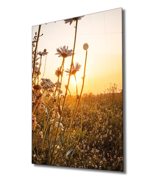 Sarı Manzara Dekoratif ve Modern Cam Tablo Yellow Landscape