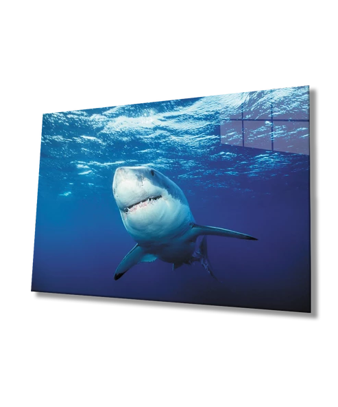 Köpek Balığı SuAltı Dekoratif ve Modern Cam Tablo ürün görseli
