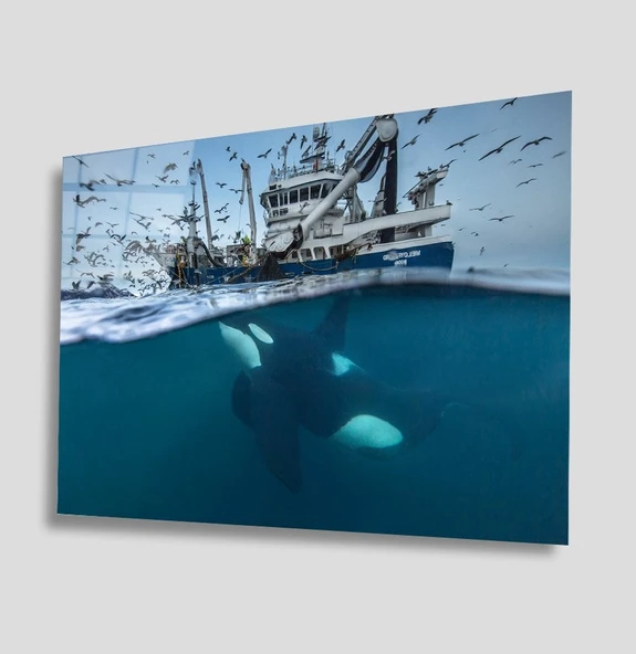 SuAltı Dekoratif ve Modern Cam Tablo