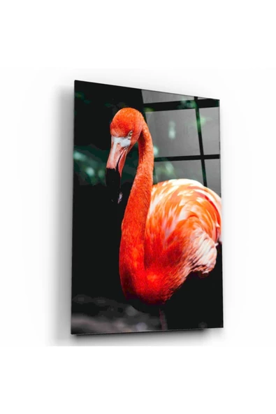 Flamingo Dekoratif ve Modern Cam Tablo
