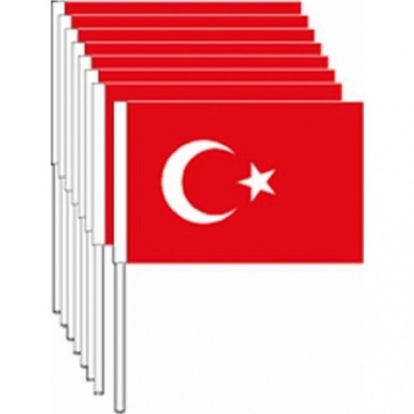 Sopalı Küçük Bayrak - 100 Lü