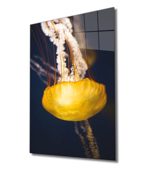 Sarı Denizanası Dekoratif ve Modern Cam Tablo Yellow Jellyfish