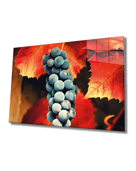 Siyah Üzüm Dekoratif ve Modern Cam Tablo 	Grape Art