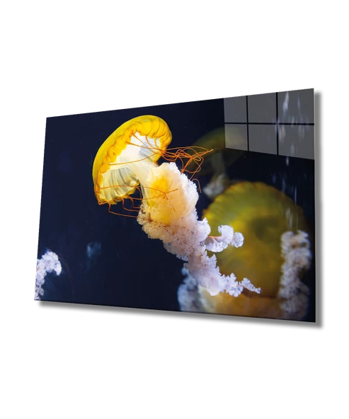 Sarı Denizanası Dekoratif ve Modern Cam Tablo Yellow Jellyfish