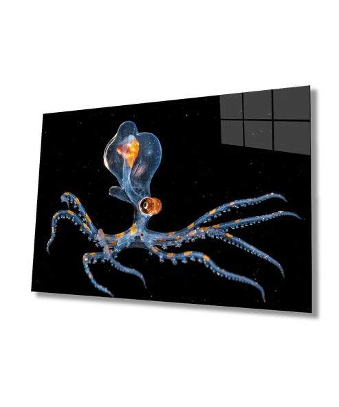 Ahtapot SuAltı Dekoratif ve Modern Cam Tablo ürün görseli 1