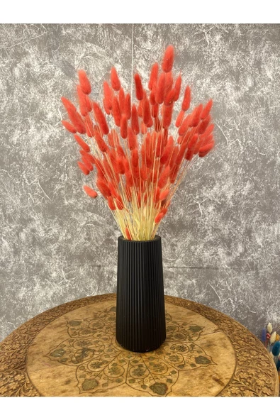 Kırmızı Renkli Kurutulmuş Pamuk Otu, Tavşan Kuyruğu Gelin Buketi Aranjman Çiçeği Lagurus 50 Dal - 4