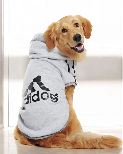 Adidog Grey Kapşonlu Gri Sweatshirt, Orta ve Büyük Irklar İçin