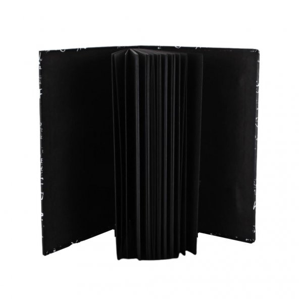 Einstein Büyük Boy Sert Kapak Lastikli Defter - 2