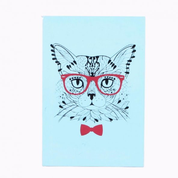 Renkli Sayfalı Küçük Boy Not Defteri Kedi