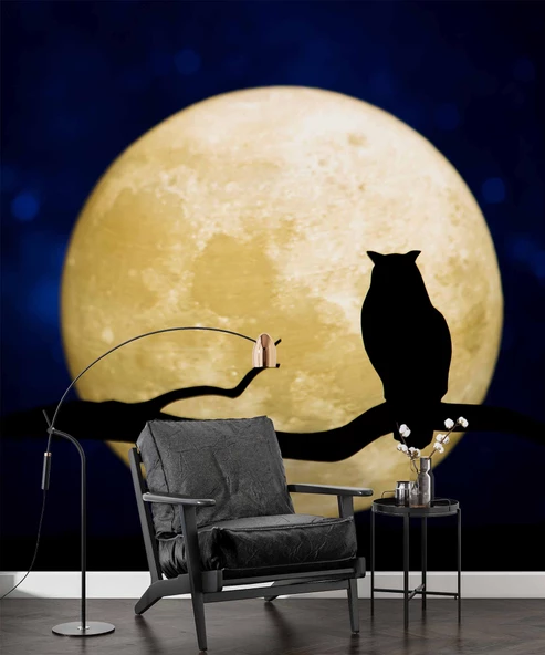 Gece Ay ve Baykuş Manzaralı Duvar Kağıdı - Resim 6