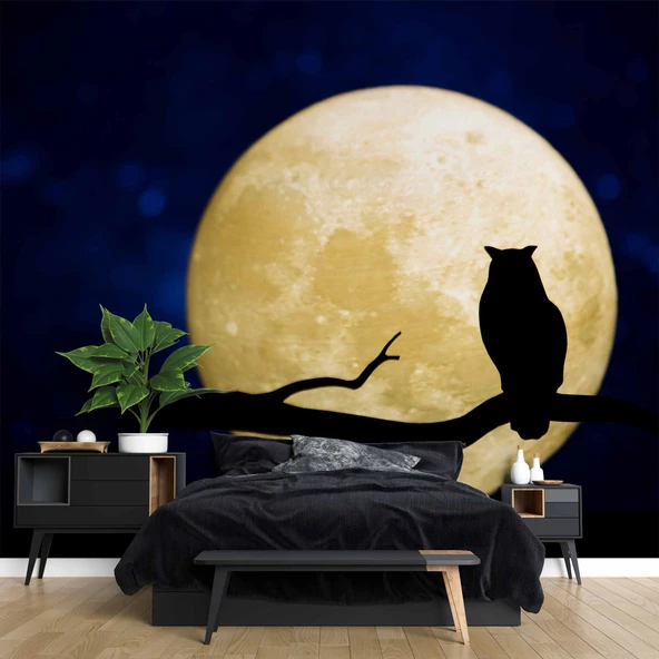 Gece Ay ve Baykuş Manzaralı Duvar Kağıdı - Resim 2