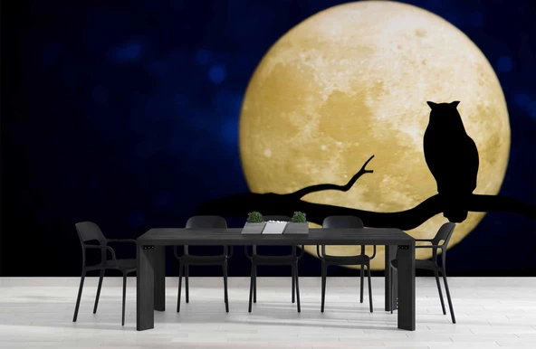 Gece Ay ve Baykuş Manzaralı Duvar Kağıdı - Resim 5
