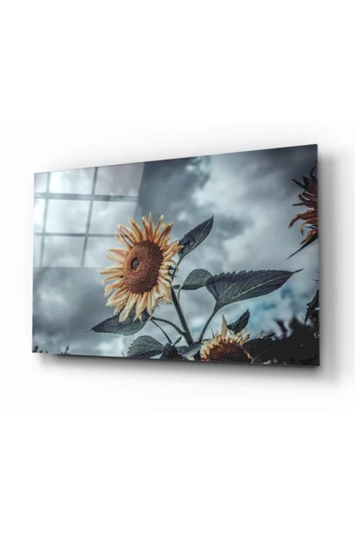 Ayçiçeği Dekoratif ve Modern Cam Tablo ürün görseli