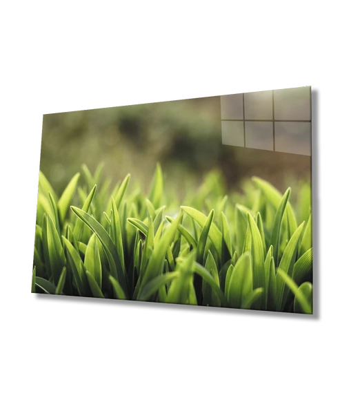 Yeşil Yapraklar Dekoratif ve Modern Cam Tablo    Green Leaves