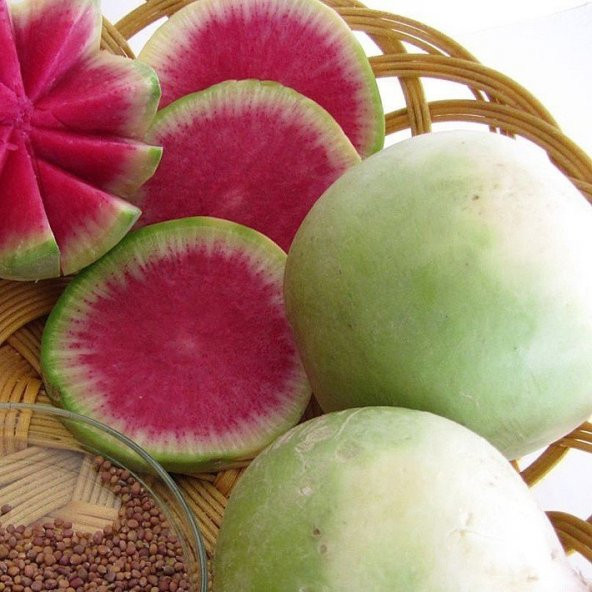 Doğal İçi Kırmızı Dışı Beyaz Turp (Çin Turpu) Tohumu (3 Gr) - 1