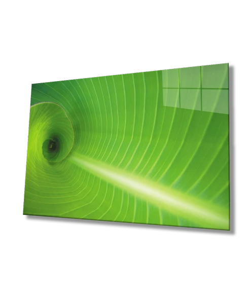 Yeşil Yaprak Green Leaf - Resim 2