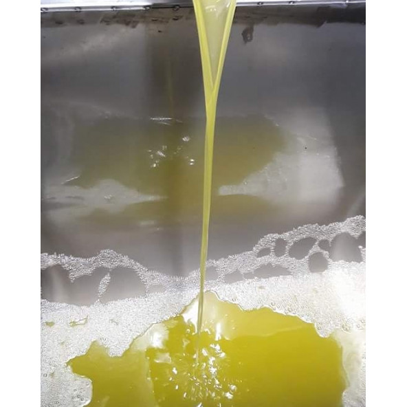 Natürel Sızma Zeytinyağı 18 LT - 3