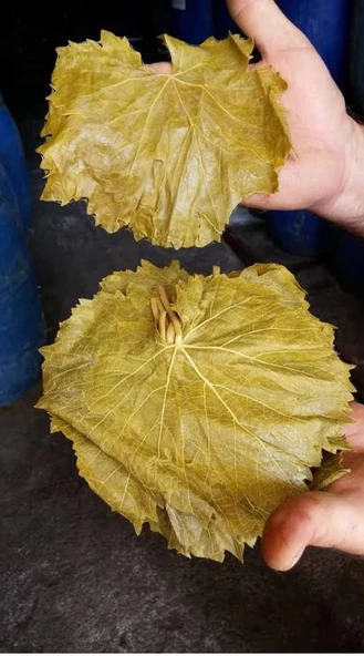 Tokat Salamura Asma Yaprağı 3kg'lık Bidon