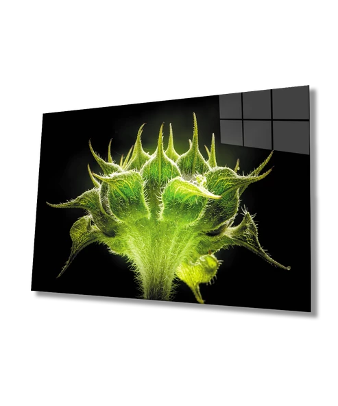 Yeşil Bitki Dekoratif ve Modern Cam Tablo ürün görseli