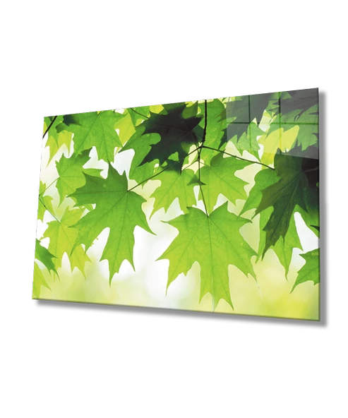 Yeşil Yapraklar Dekoratif ve Modern Cam Tablo   Green Leaves ürün görseli