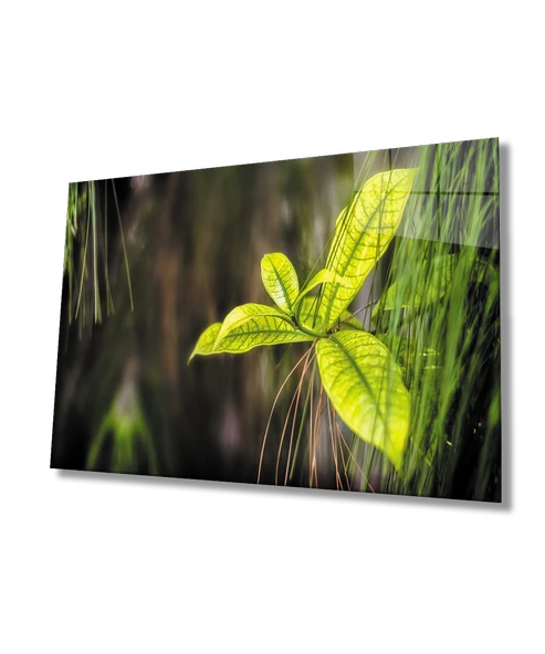 Yeşil Yapraklar Dekoratif ve Modern Cam Tablo    Green Leaves